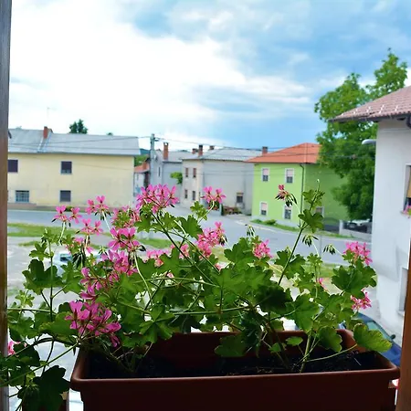 Turisticna Kmetija Pri Pozarju * Knezak